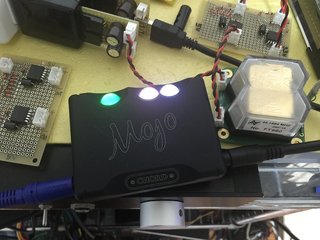 mojo.jpg